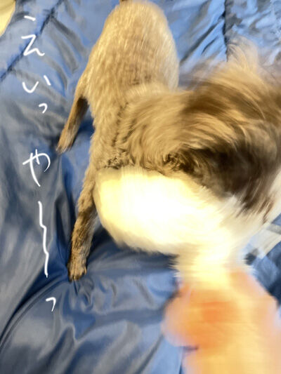 2021-12-28-judy8