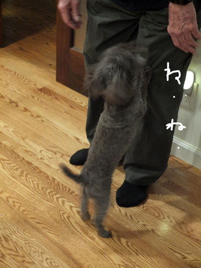 2019-12-25-judy2