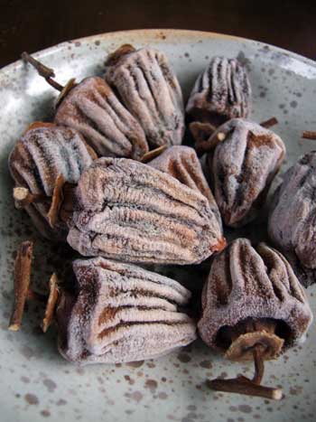 2015-01-31-hoshigaki2