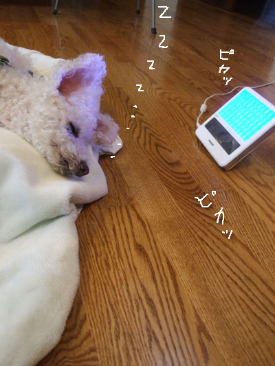 2016-10-21-happylight1