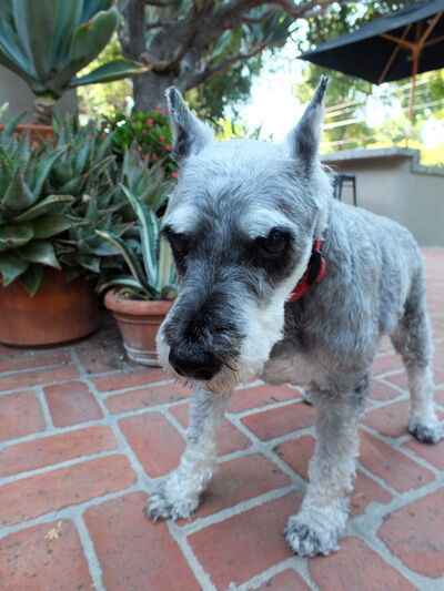 2021-06-30-reggie1