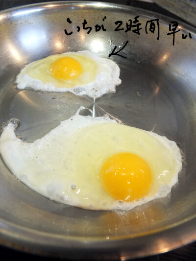 2024-09-22-egg1