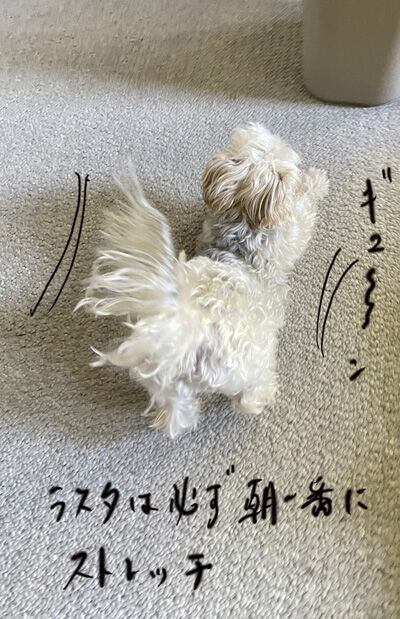 2022-09-25-rasta1
