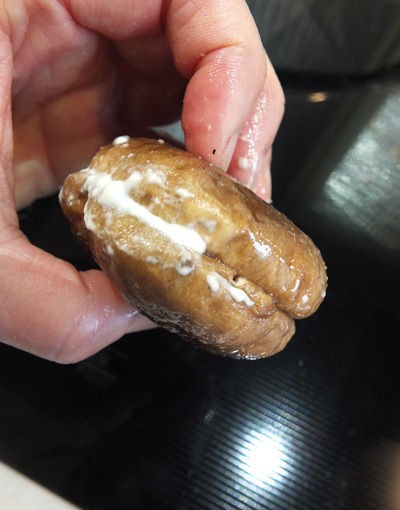 2019-02-27-shiitake9