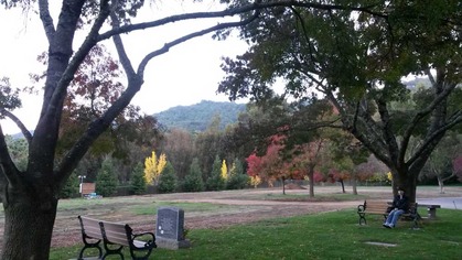 2014-11-08-birdwatching2