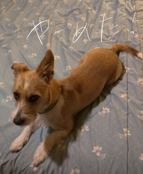 A1F75764-8A43-4BBB-9A2F-895CBA408E36