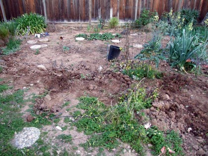 2014-08-10-before