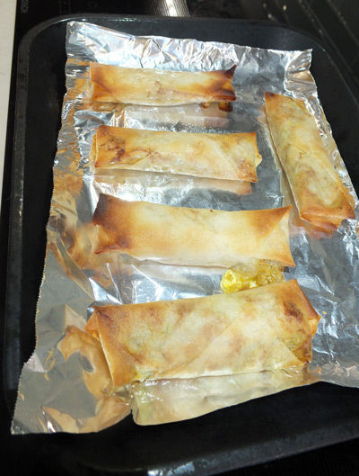 2019-04-06-springroll1