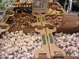 マッシュルーム