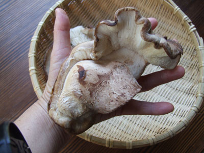 2012_02_21_hand