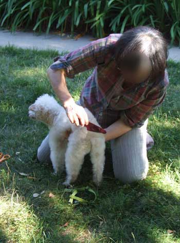 2015-07-22-trim1