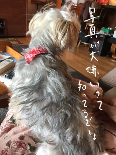 2021-04-18-rasta4