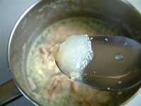 gelatin