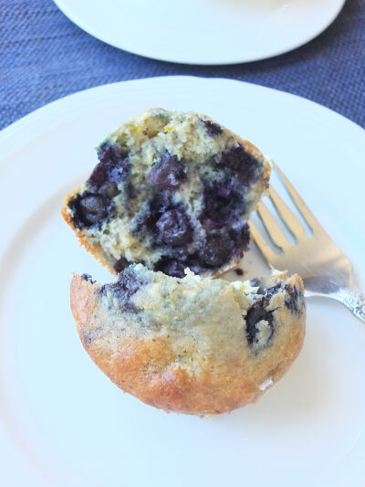 2026-07-18-blueberry2