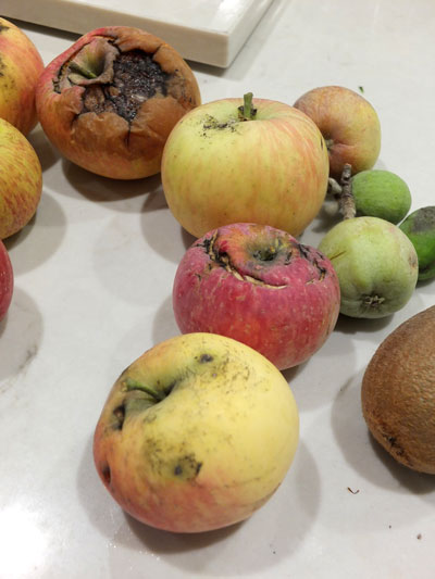2019-12-10-apple2