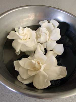 2015-08-09-gardenia3