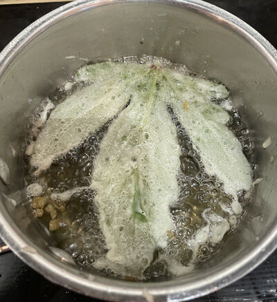 2023-10-09-veggie3