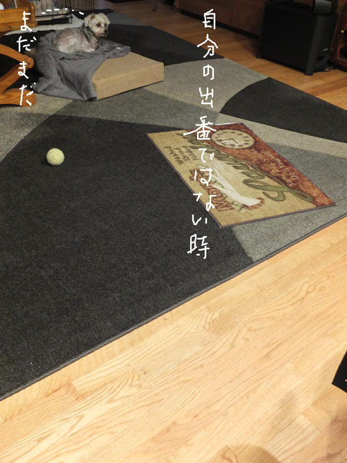 2018-11-12-konan1