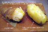 觤Ǥ��ݥƥ�
