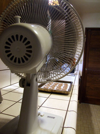 2013-01-18-macaroonfan