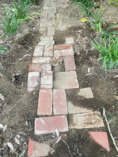2026-08-14-gophers2