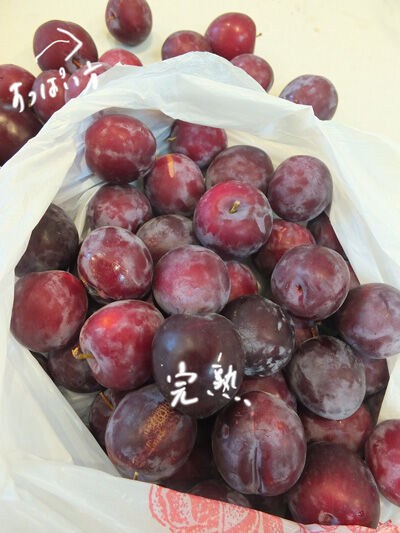 2024-07-10-plumjam1