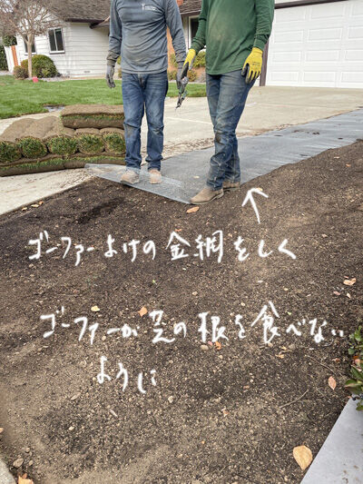 2024-01-13-gopher3