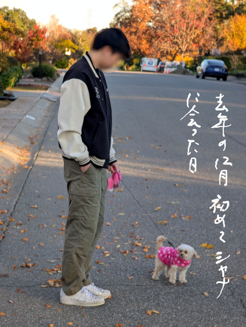 2026-02-02-shana1