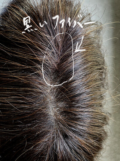 2022-11-27-wig6