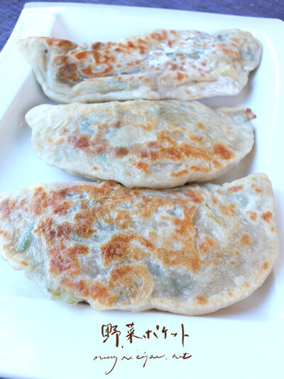 2024-06-19-veggiepocket4