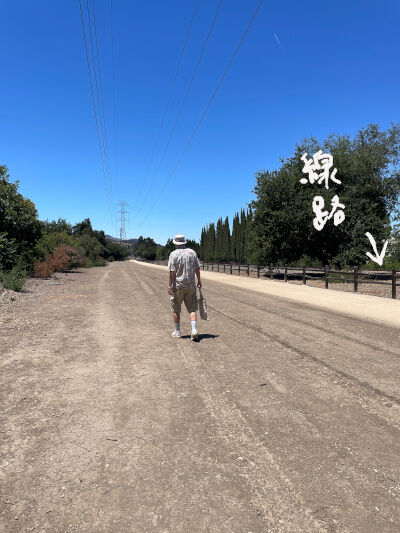 2025-07-29-railroad3