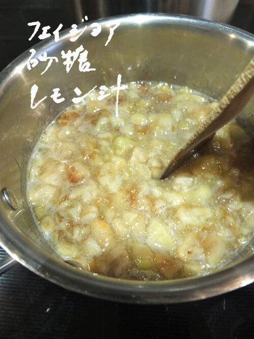 2025-11-13-guavajam1