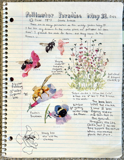 2024-05-14-skech1