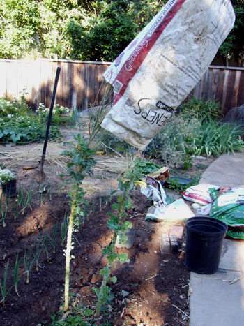 2013-06-26-bag