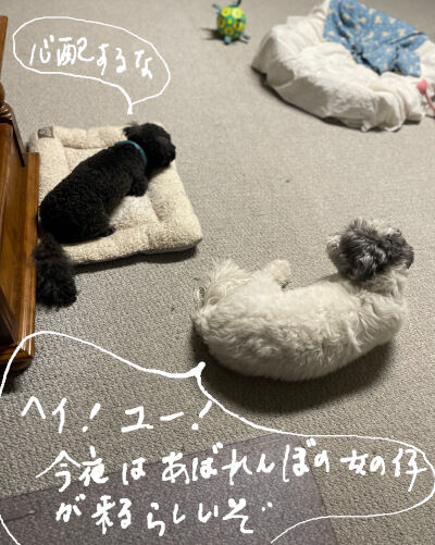 2024-10-04-charlieoreo1