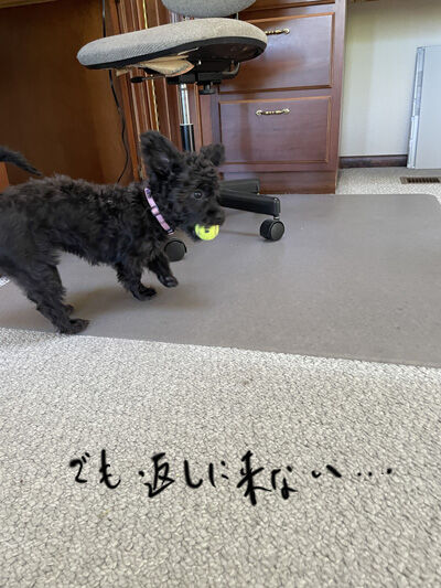 2024-07-21-kiki2