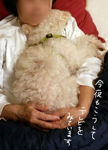 2016-03-26-chibi3