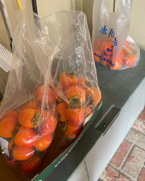 2025-12-03-hoshigaki3