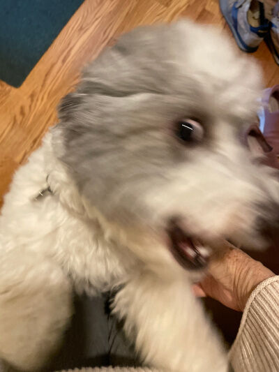 2024-12-23-charlie2
