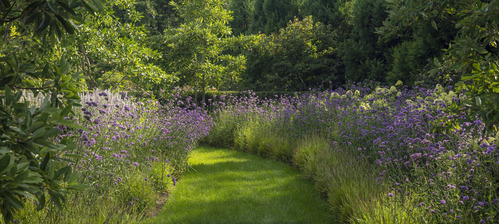 2025-05-02-meadowscape3