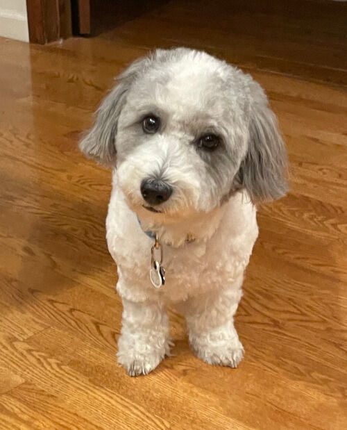 2026-09-28-charlie3
