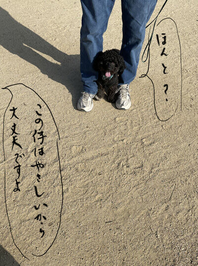 2022-01-27-oreo7