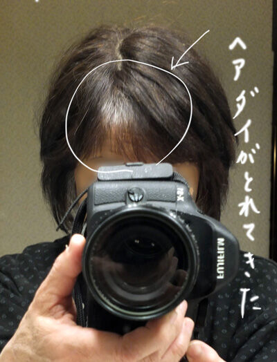 2021-01-30-hair1