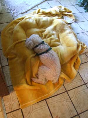 2014-07-21-chibisleep1