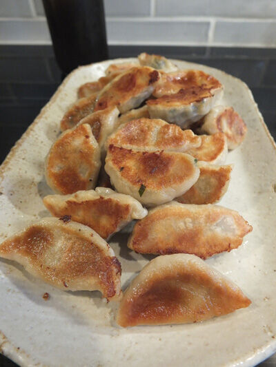 2023-06-15-gyoza5