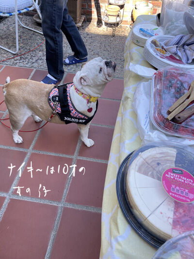 2022-07-03-bbq1