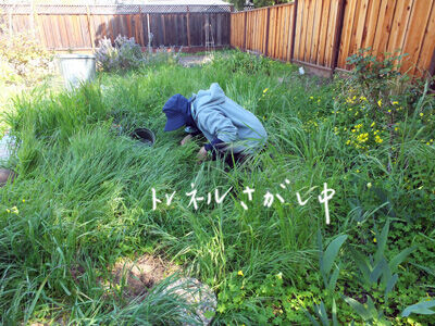 2021-03-24-yard6