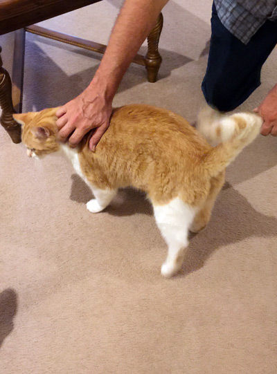 2019-09-09-simba1