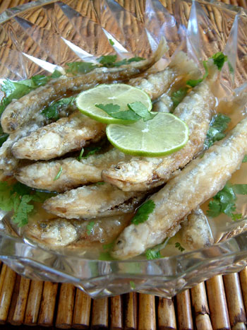 Smelt
