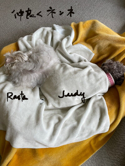 2025-01-19-judyrasta1